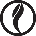 Hairvisions Logo